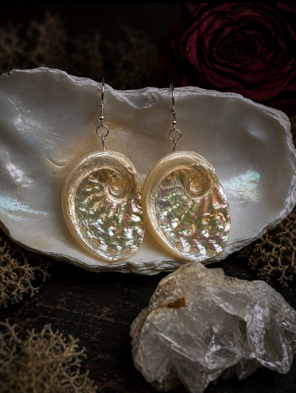 Handmade Real Abalone Shell Statement Dangle Earrings